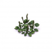 MiniWarPaint Подорожник, размер М