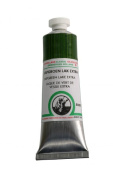 Краска масляная Old Holland B292 Зеленая крушина, прозрачный лак экстра, 40 мл