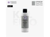 Kaleido ColorWorks Праймер KP202 Gray, 210 мл