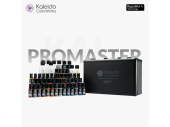 Набор красок Kaleido ColorWorks ProMaster Series | Auto Colors