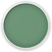 Пастель сухая PanPastel 640.3 Permanent Green Shade (Перманентный зеленый темный)