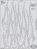 Трафарет Artool FLAME-O-RAMA 2 (FH FOR 11)