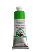 Краска масляная Old Holland 286B Зеленый светлый, 40 мл