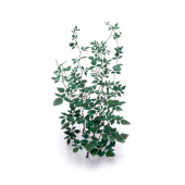 MiniWarPaint Ветви малины, размер L