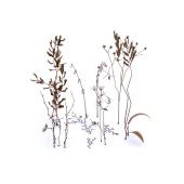 MiniWarPaint Зимние ветки, размер L