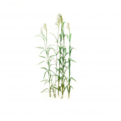 MiniWarPaint Тростник, размер M