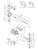 Iwata 06361081 Гайка шестигранная для насоса DDP120B