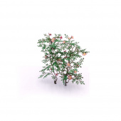 MiniWarPaint Шиповник, размер M