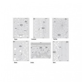 Трафарет Artool FX3 MINI SERIES (FH FX3 21 MS)