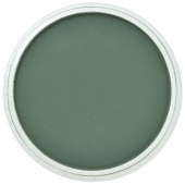 Пастель сухая PanPastel 640.1 Permanent Green Extra Dark (Перманентный зеленый экстра темный)