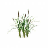 MiniWarPaint Рогоз, размер M