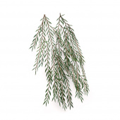 MiniWarPaint Ветви ивы, размер M