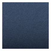 Clairefontaine Бумага для пастели INGRES 50х65 см, 130 г, темно-синий
