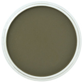 Пастель сухая PanPastel 680.1 Bright Yellow Green Extra Dark (Ярко-желтый зеленый экстра темный)