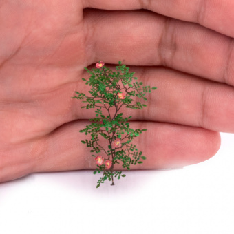 MiniWarPaint Шиповник, размер L