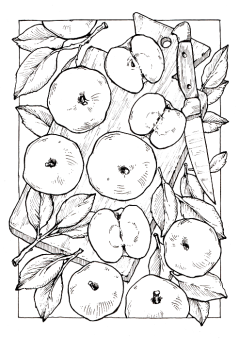 Sketchmarker Книга-раскраска на акварельной бумаге CITRUS