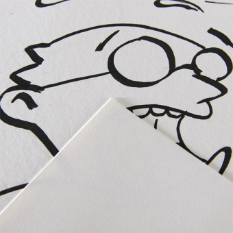 Canson Альбом бумаги Illustration А4, 12 листов, 250 г/м2