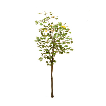 MiniWarPaint Клен остролистный, размер М