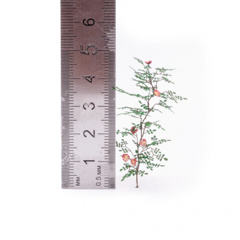 MiniWarPaint Шиповник, размер L