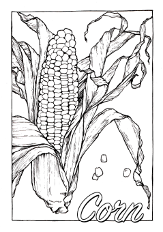 Sketchmarker Книга-раскраска на акварельной бумаге GARDEN