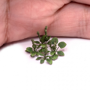 MiniWarPaint Подорожник, размер М