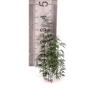 MiniWarPaint Конопля, размер M