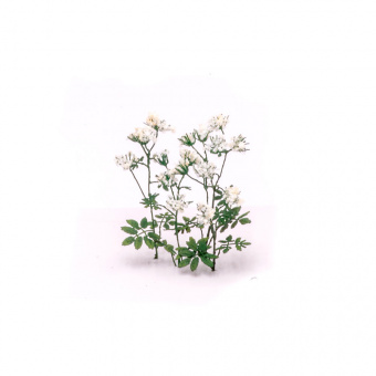 MiniWarPaint Сныть цветущая, размер М