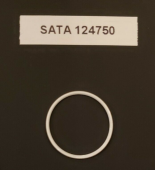 SATA 124750 Уплотнительное кольцо головки дюзы для minijet 3000B и 1000K