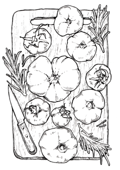 Sketchmarker Книга-раскраска на акварельной бумаге GARDEN