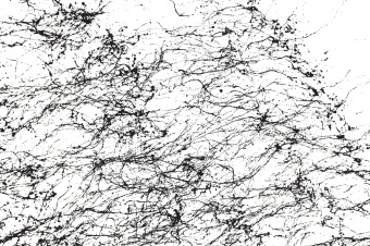 Аэрозольная краска Montana BLACK SPIDER/ черный, 150 мл