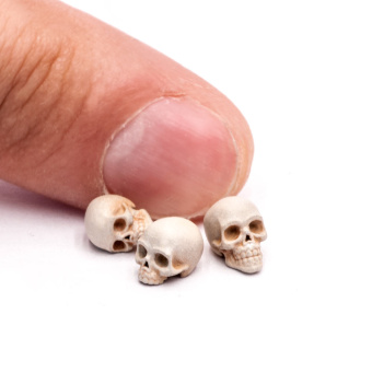 Miniwarpaint Черепа человеческие, размер M (1/32), 10 шт.