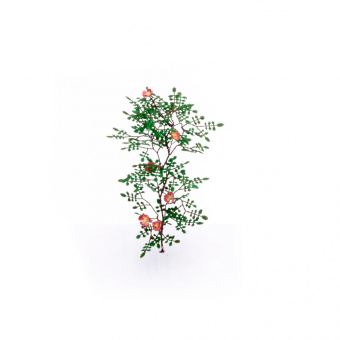 MiniWarPaint Шиповник, размер L