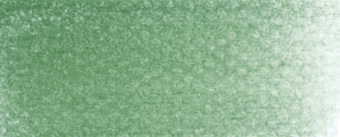 Пастель сухая PanPastel 660.5 Chromium Oxide Green (Оксид хрома зеленый)