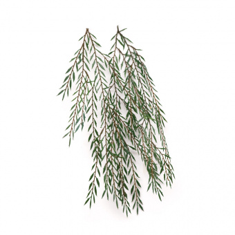 MiniWarPaint Ветви ивы, размер M