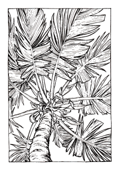 Sketchmarker Книга-раскраска на акварельной бумаге SEA