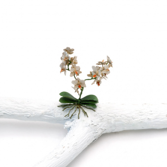 MiniWarPaint Орхидея, размер M