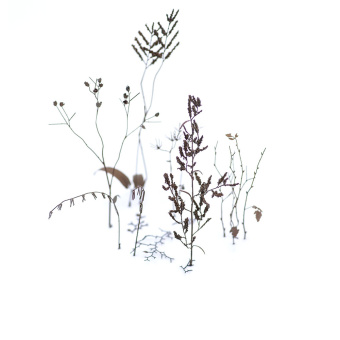 MiniWarPaint Зимние ветки, размер L