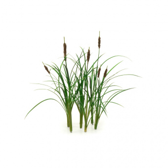 MiniWarPaint Рогоз, размер M