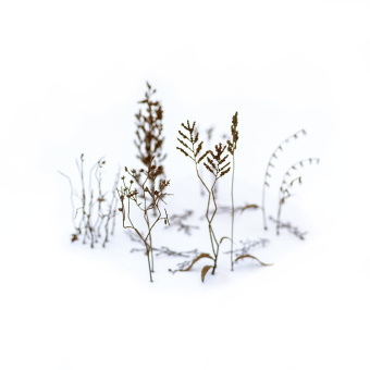 MiniWarPaint Зимние ветки, размер M