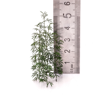 MiniWarPaint Конопля, размер L