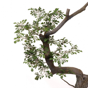 MiniWarPaint Дуб обыкновенный, размер М