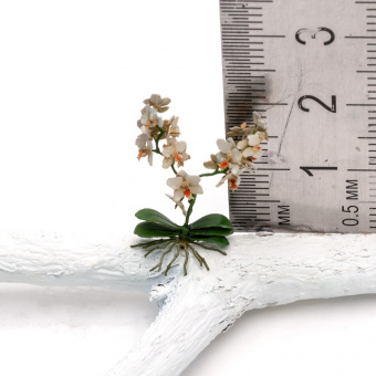 MiniWarPaint Орхидея, размер M