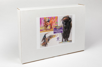 Набор PanPastel Dawn Emerson Collection Set (40 цветов)