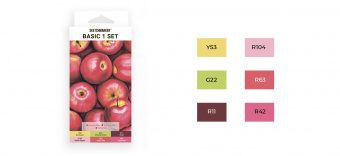 Набор маркеров Sketchmarker 6 BASIC Set 1 (6 шт. в картонной коробке)