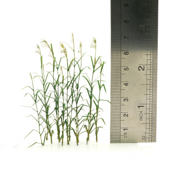 MiniWarPaint Тростник, размер S