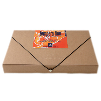 Набор темперных красок Maimeri Tempera Fine (12 туб по 20 мл в картонной коробке + аксессуары)