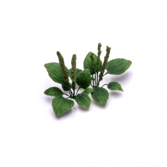 MiniWarPaint Подорожник, размер L