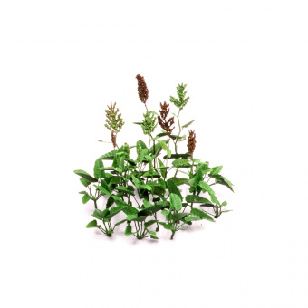 MiniWarPaint Конский щавель, размер M