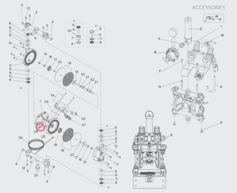 Iwata 06234002 Винт с резьбой насоса DDP120B