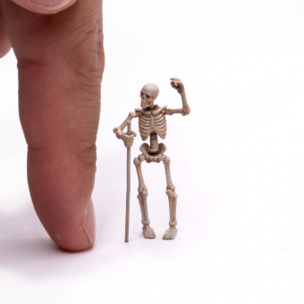 MiniWarPaint Скелеты, размер S, 2 шт.